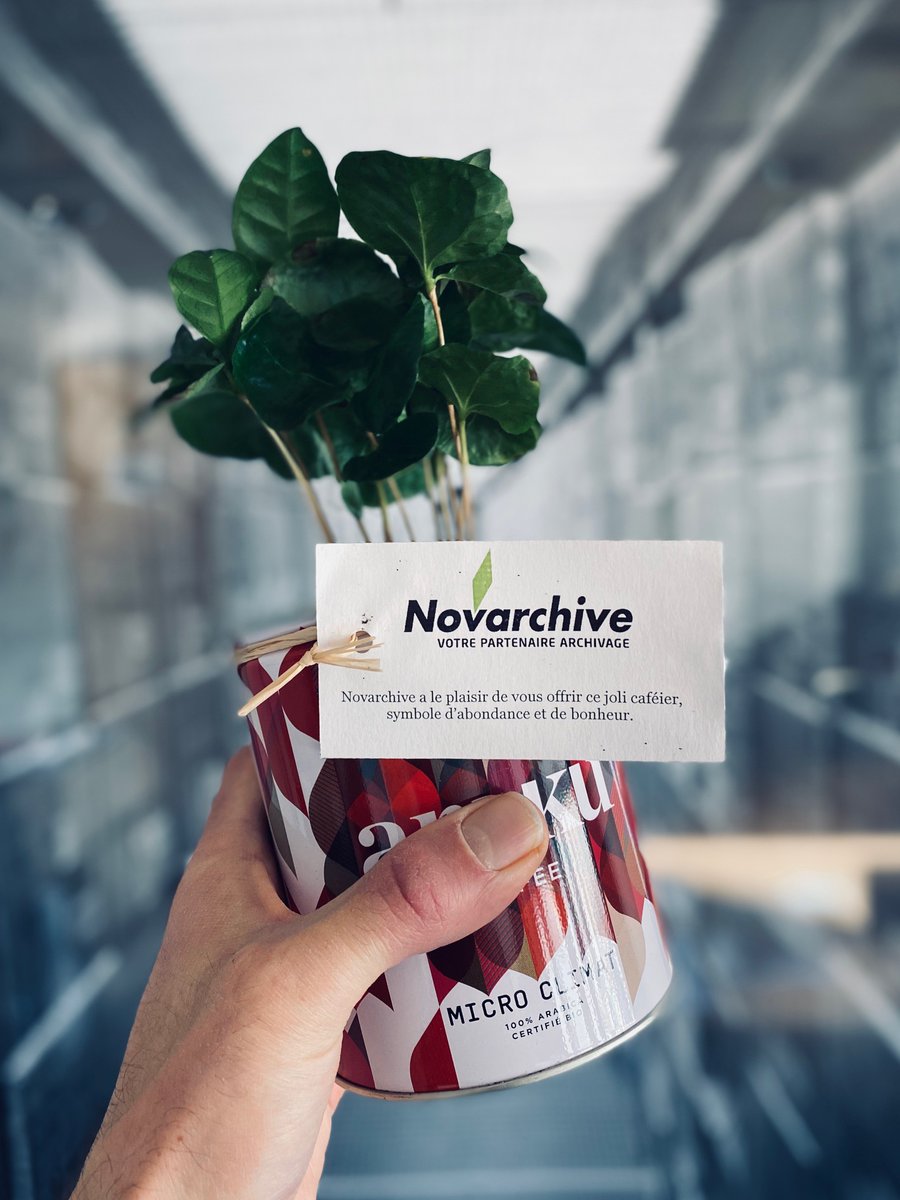 Novarchive's tweet photo. 📸 #JeudiPhoto : 🌿#plante 🤝🌿#cadeauclient 🌸🌞 #printemps https://t.co/DAUD08KWaU