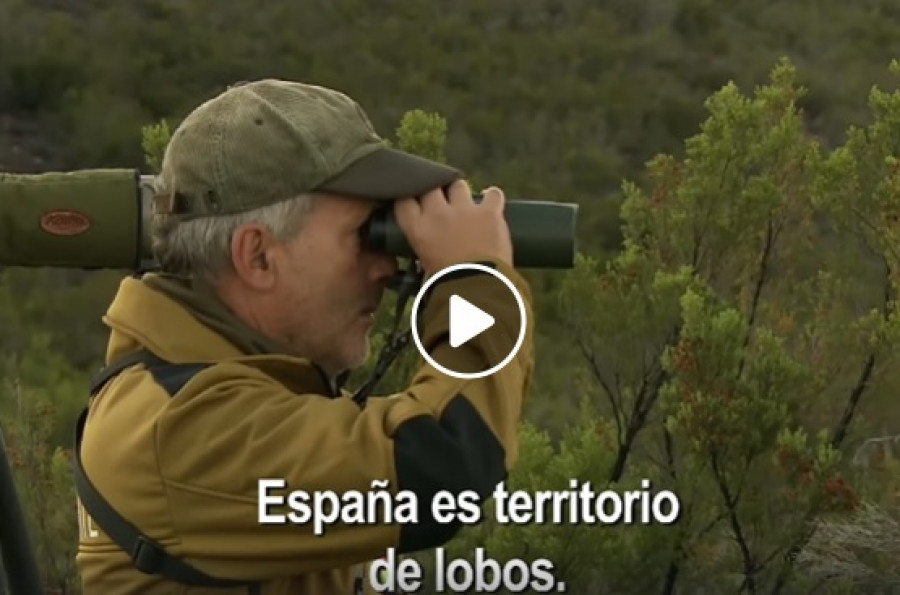 TELEVISIÓN | La coexistencia con el lobo de una ganadería sanabresa, protagonista en Televisión Española 
<a href="/conocesanabria/">Descubre Sanabria</a>
zamora24horas.com/texto-diario/m…