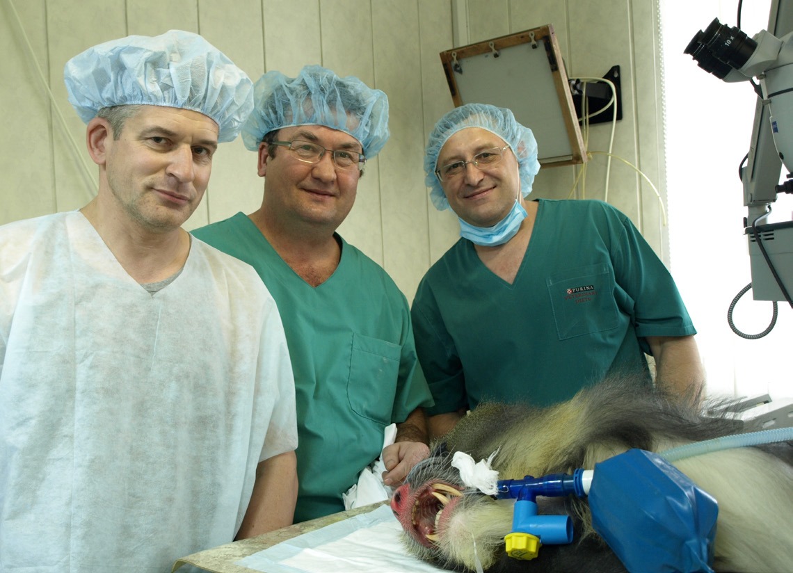 nskzoo's tweet photo. О ВРАЧАХ, ЛЕЧАЩИХ И СПАСАЮЩИХ ЖИЗНИ
https://t.co/dbHsv0jJr8 https://t.co/FcqBHQYvBc