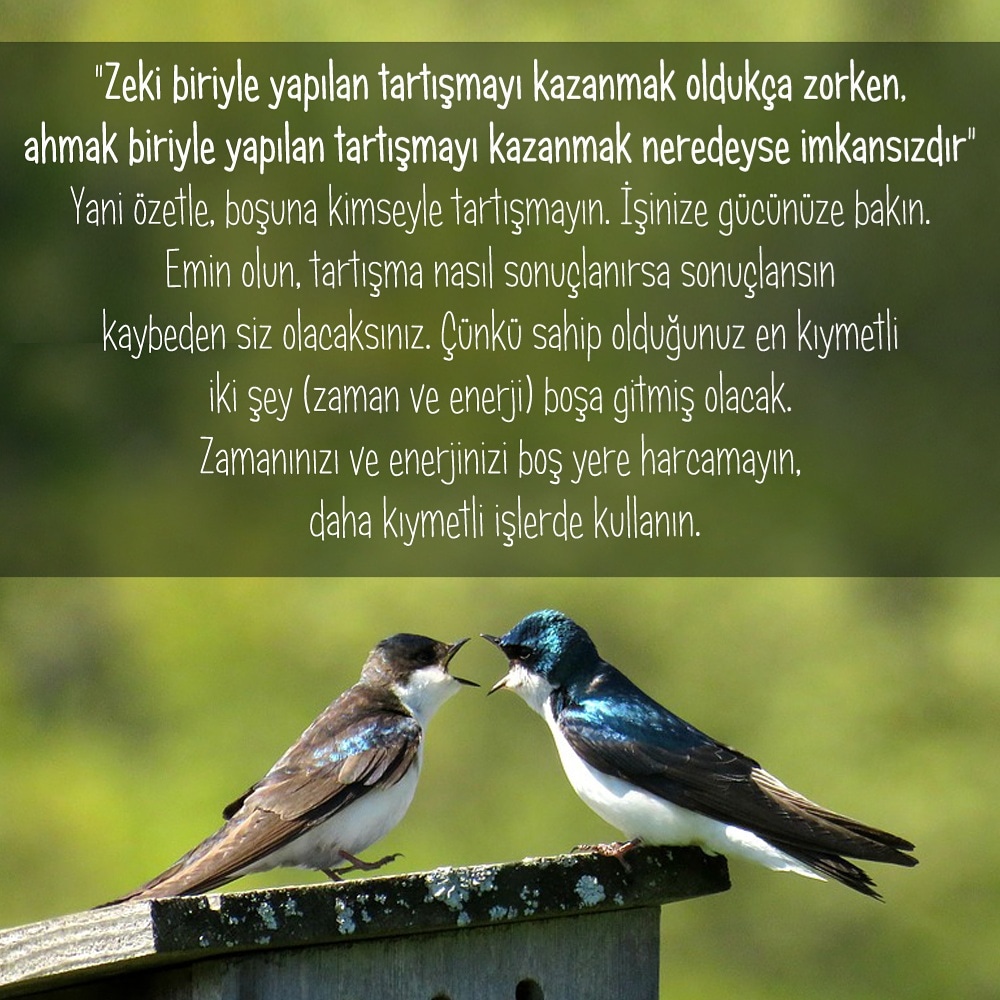 skaraismailoglu's tweet photo. Karantina günleri için önemli bir tavsiye. Kimseyle tartışmayın. Özellikle de evin içindekilerle :) https://t.co/kFMtIcrN5d