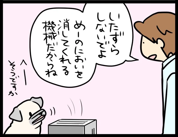 「へーそうですか」

パグ犬のいる家・CHINTAI情報局さんにて
本日更新でーすヽ(='▽`=)ノ
↓↓
https://t.co/8Wkev5t1dy 