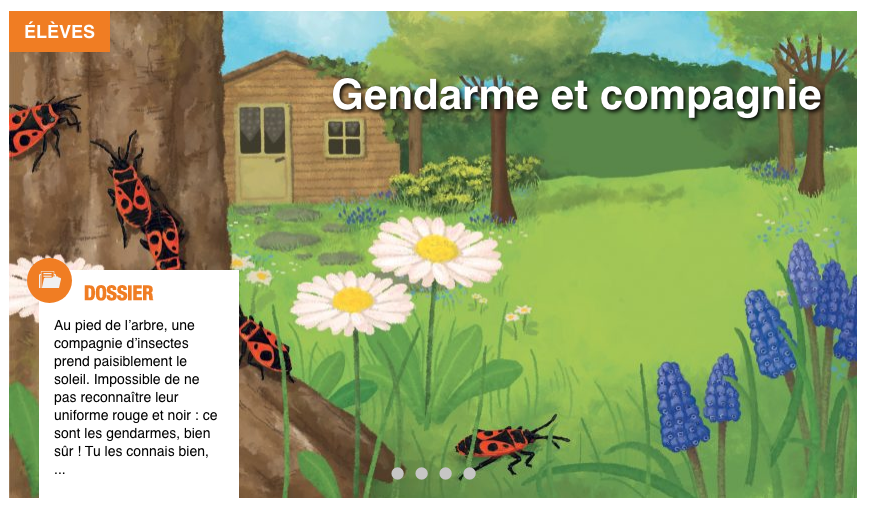 SalamandreEcole's tweet photo. #ecolealamaison Découvrez le nouveau dossier sur le gendarme de Petite Salamandre n°29 (avril-mai), la revue des curieux de nature de 4-7 ans. 
https://t.co/LQh2yB0h83 https://t.co/RshsigQuJh