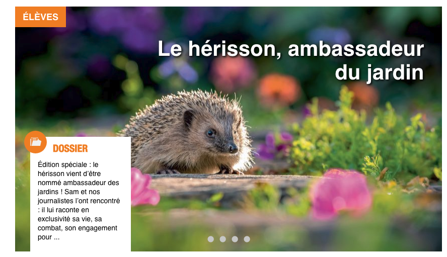 SalamandreEcole's tweet photo. #ecolealamaison Découvrez le nouveau dossier sur le hérisson de Salamandre Junior n°129 (avril-mai), la revue des explorateurs de nature de 8-12 ans. 
https://t.co/WyNBKwEFd0 https://t.co/o9lZhzWzil