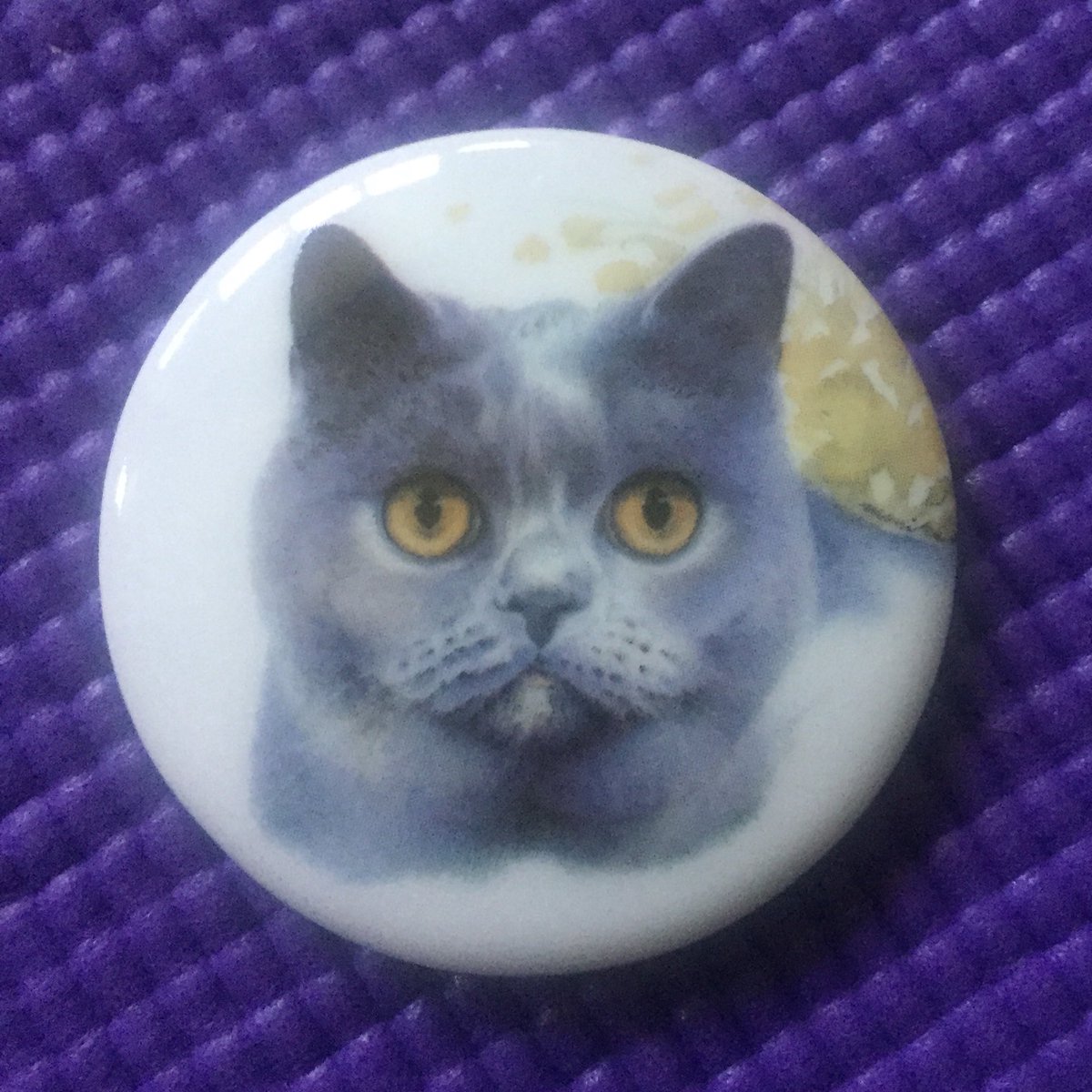 Want to say a huge thank you to <a href="/filzballjaeger/">Donald 🌈</a> for the lovely package that arrived ❤️ so kind and thoughtful to think of us!! 
🐾❤️🐾
#ThankYou #SendingYouLove