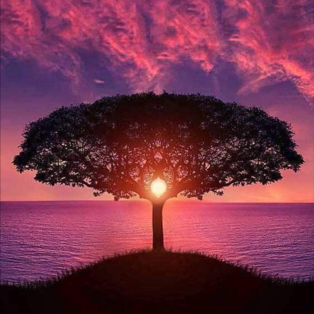 KateSpain's tweet photo. #preciouslife 
#COVID19 
#StayHome 
#StaySafeStayHome 
#anotherday 
#hope #positivity 
#bravospainrentals https://t.co/c8mHKwaGk5
