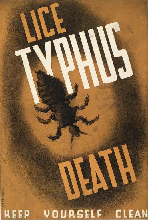 Typhus (not to be confused with typhoid) is the work of Rickettsia bacteria, named for a scientist they killed. Its epidemic form travels in  of the body louse, which eats only human blood. Meaning "hazy", typhus brings spots, fingertip gangrene +a delirious "besotted" look. 2/