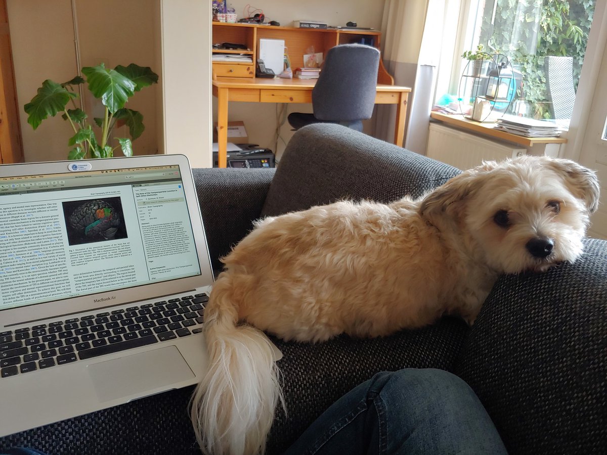 Temporal Attention Lab tweet media