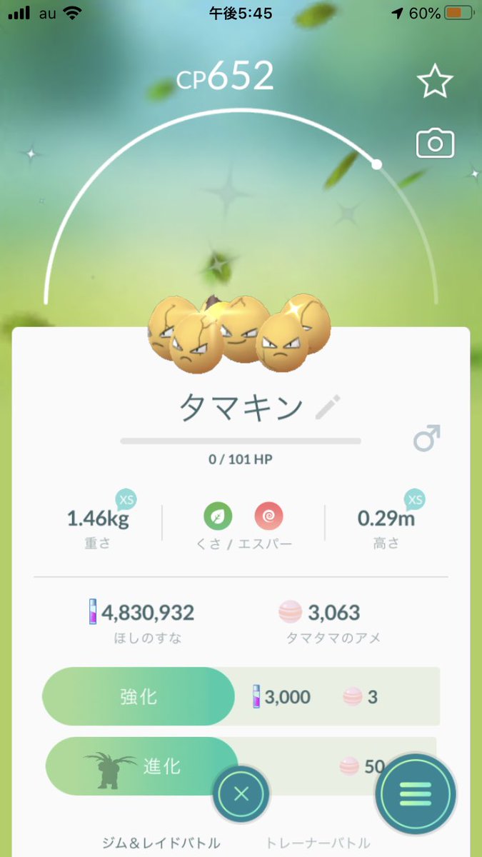 ポケモンgo ニックネーム タマタマ Twitter Search ポケモンgo ニックネーム タマタマ Twitter Search