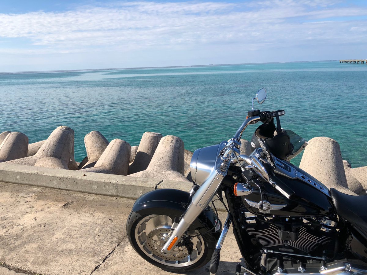 俺のハーレーレンタル 宮古島 Oreno Harley Twitter