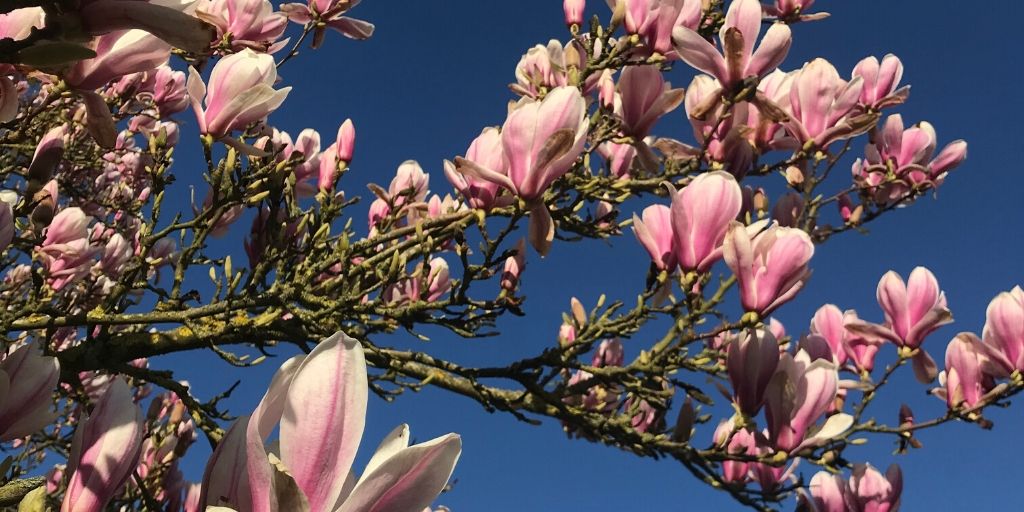 Merci à tous ceux qui apportent lumière et chaleur à un monde qui en a besoin.
--
Honoring those who bring light and warmth to a world in need. #wearehilton