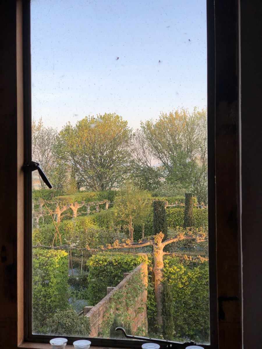 View from my workroom as the sun came up.
