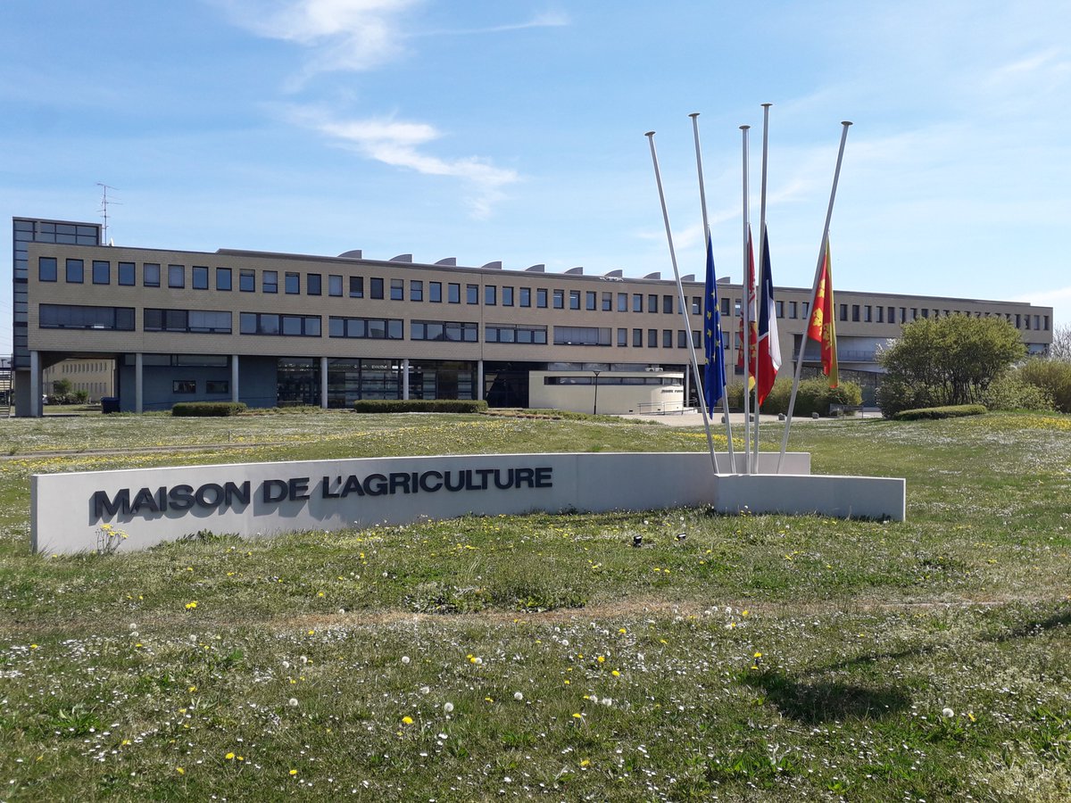 AliciaJacquier's tweet photo. 👩‍🌾🙏👨‍🌾 [COVID-19] La Chambre d'agriculture a mis ses drapeaux en berne, pour un hommage silencieux aux victimes du Covid, en particulier agricoles.👩‍🌾🙏👨‍🌾 Prenez soin de vous ! https://t.co/W7IpUnP7Wi