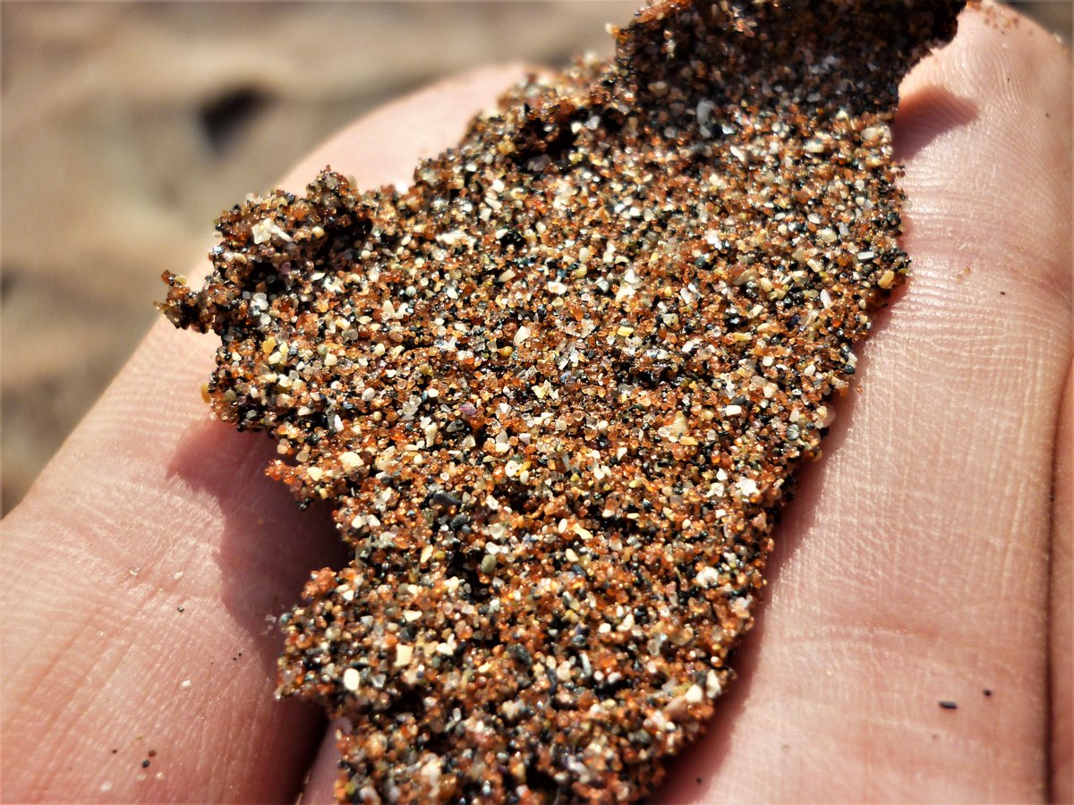 On va commencer par un petit rappel de géologie : le sable des plages est un mélange de fragments de coquilles et de minéraux, qui ont été arrachés de leur roche mère par l'érosion. @Sciencecomptoir l'explique parfaitement dans sa dernière vidéo  