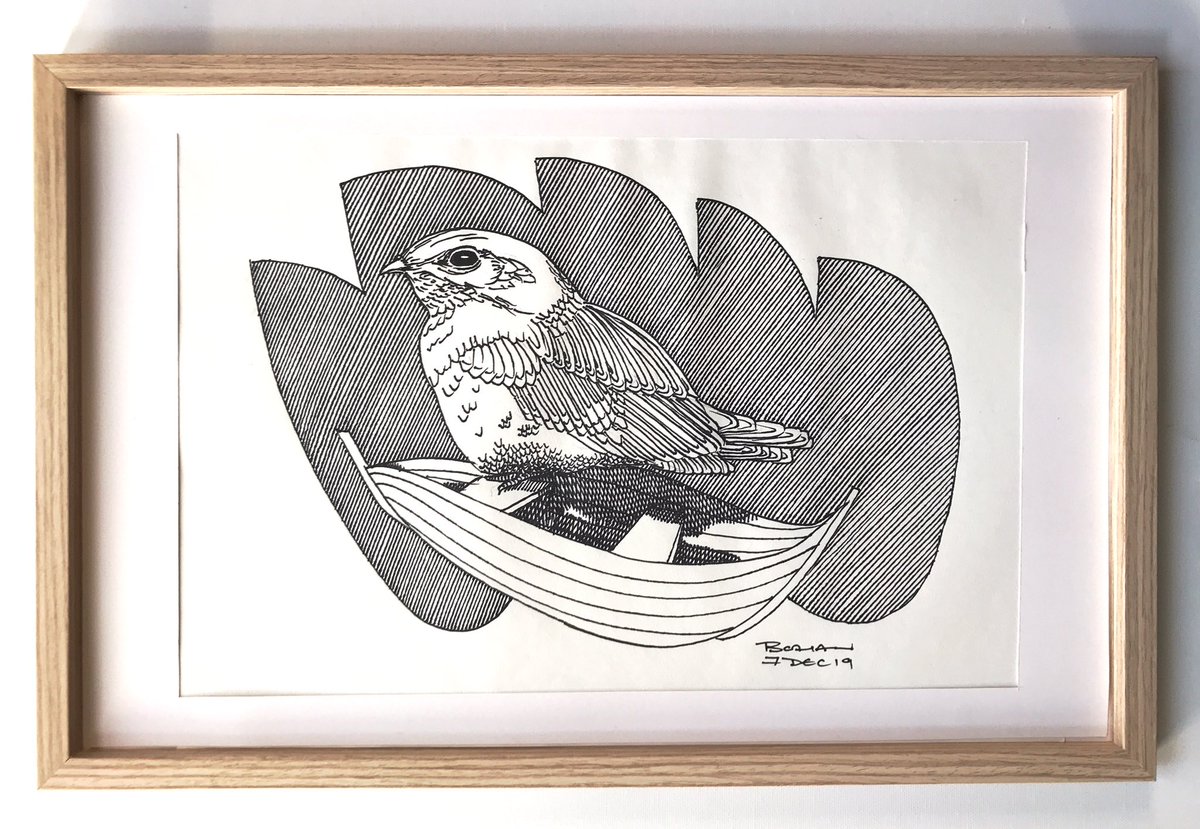 Normally I sell individual drawings for €150 so it’s a pretty good deal to get two for just €50. The offer ends when I either run out of drawings, run out of packaging (due to the lockdown) or reach the 30th April.Nightjar (2019) - this one is not listed but is available