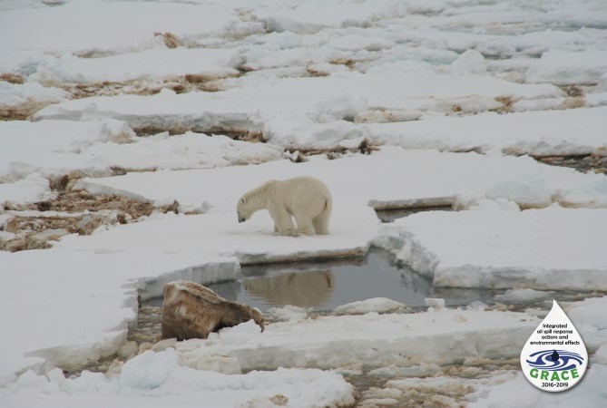 10/10 In order to deal with oil spills in the Arctic we need all methods available. It would be irresponsible not to be prepared.  @EPPR_Arctic  #APP4SEA2020