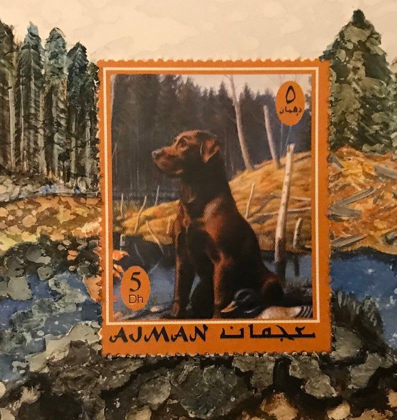 JillingsTonia's tweet photo. Chocolate Labrador Dog mixed media painting, Hunting Dog artwork, Gun Dog Postage stamp art, by ToniaJillings on Etsy https://t.co/p2XpXydqKB 

#giftformen #giftforhim #handmade #hardtobuyforperson #makersbazzar #hardtobuyforpeople #etsyshop #gundog #labrador #original #postage https://t.co/hi4UXLO5HO