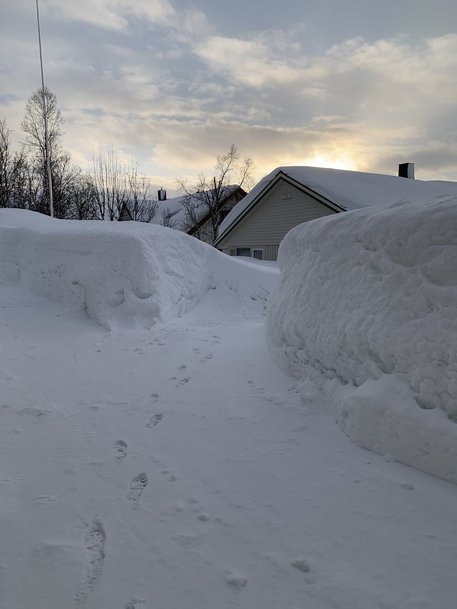 Challenge accepted, <a href="/PVuorimaki/">Petteri Vuorimäki</a> -thank you! My life in pictures 1/7, no people, no description. Challenge someone new every day. I am challenging @SvendsenBard to  see some Oslo pictures.