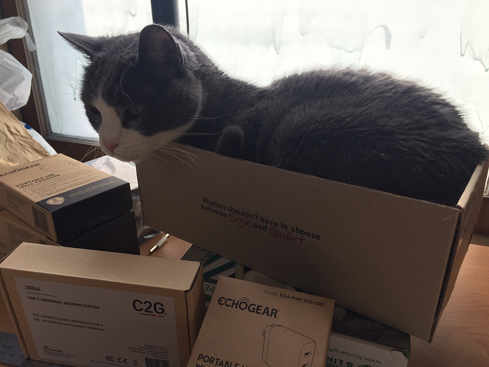 chiefmfg's tweet photo. Ann Ewoldt, Chief Product Marketing Manager, has a work from home co-worker, Kittyman, that lives by a motto: "If I fits, I sits." #LegrandAV #PetsofAV #WFH https://t.co/77pNAESXFB