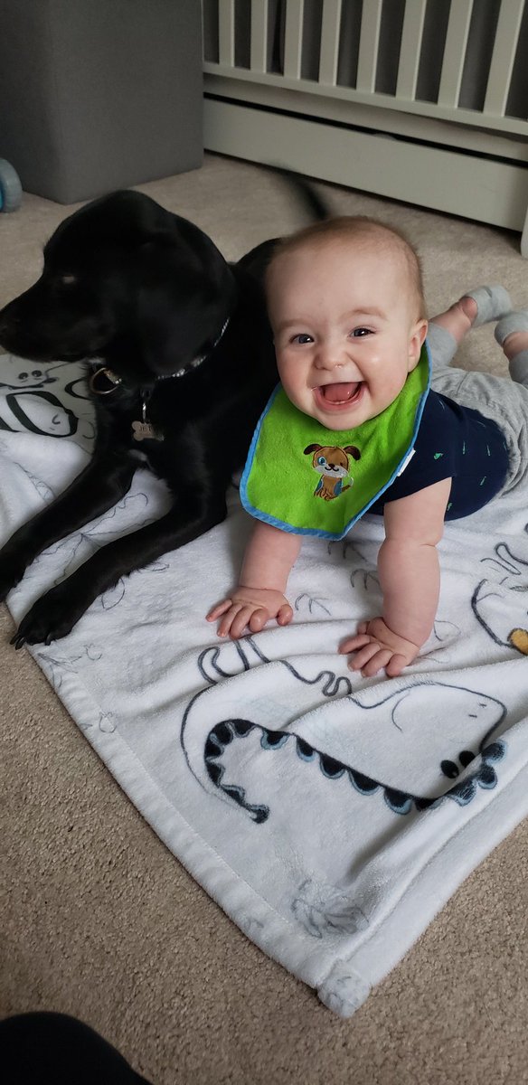 Mrs_Strefling's tweet photo. A6 Lots of neighborhood walks, bonus time with my little one and loving on my pooch. #LFLionChat https://t.co/4F9InMTvnM