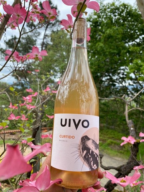 savioselections's tweet photo. These two wines are on fire!!! Portugal will dominate the year, I have a feeling!  #innovativeportugal #innovativewines @portuguesewine #Uivo #Foliasdebaco #rosewine #naturalwine #orangewine https://t.co/2IwsIo4vj0
