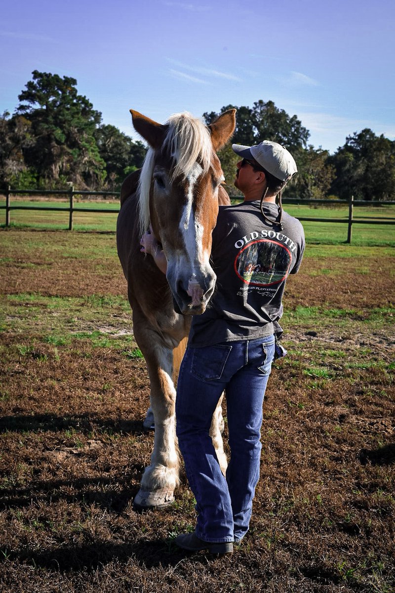 Huge Thank You to our hardworking staff during these challenging and different times. #oldsouthcarriagecompany #ThankfulThursday #COVID19