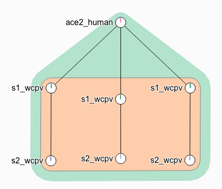 complexportal's tweet photo. #ComplexViewer Updates:
1. Complexes as participants are displayed by default and colour-coded, e.g. #SARSCoV2 Spike-hACE2 complex (CPX-5683 https://t.co/8rTFTXRPq4) or the 3-tier CMG-Pol epsilon complex (CPX-1556 https://t.co/W5nyLi1c7U).
1/2 https://t.co/BxiJq1Qvad