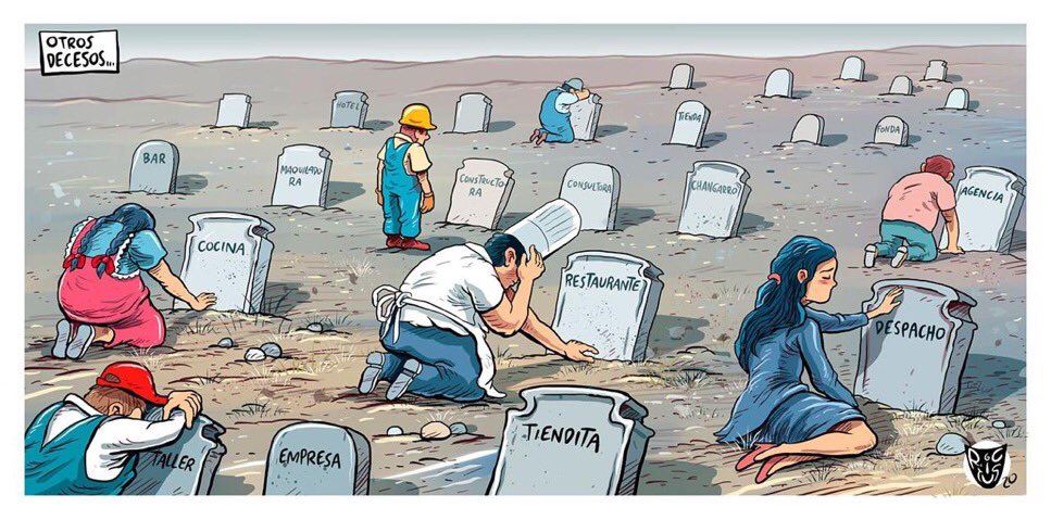 Mariana Gómez del Campo tweet media