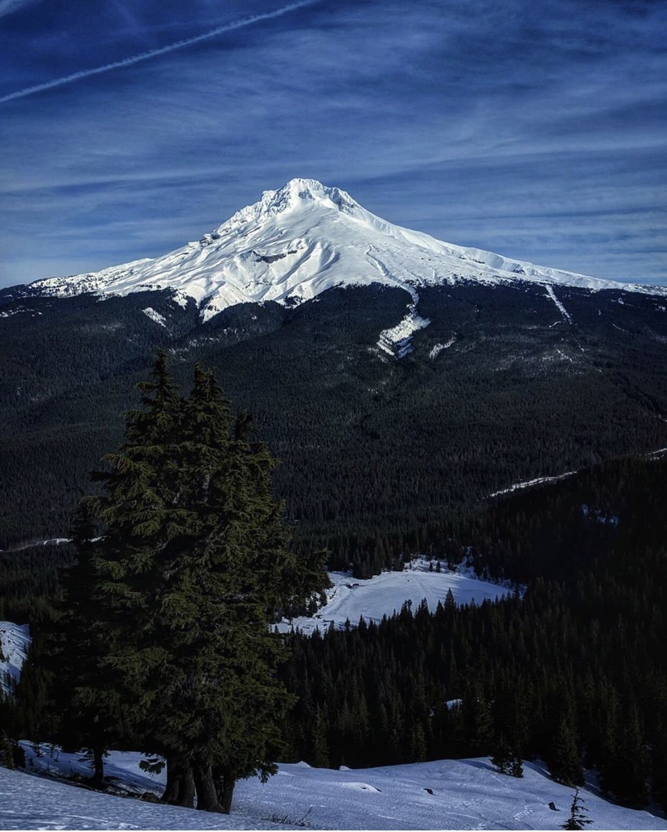 inMtHood's tweet photo. Another picture perfect throwback of Mt. Hood by Instagrammer shehikesthepnw! Gorgeous snow and cool moody tones! #omht https://t.co/6k3KALSCQI