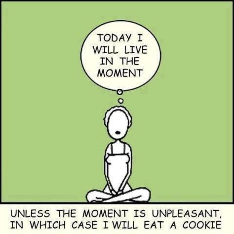 bhs220GSA's tweet photo. Today is your day! #zen #cookiesHelp #GSA https://t.co/fHe7g2J3iD