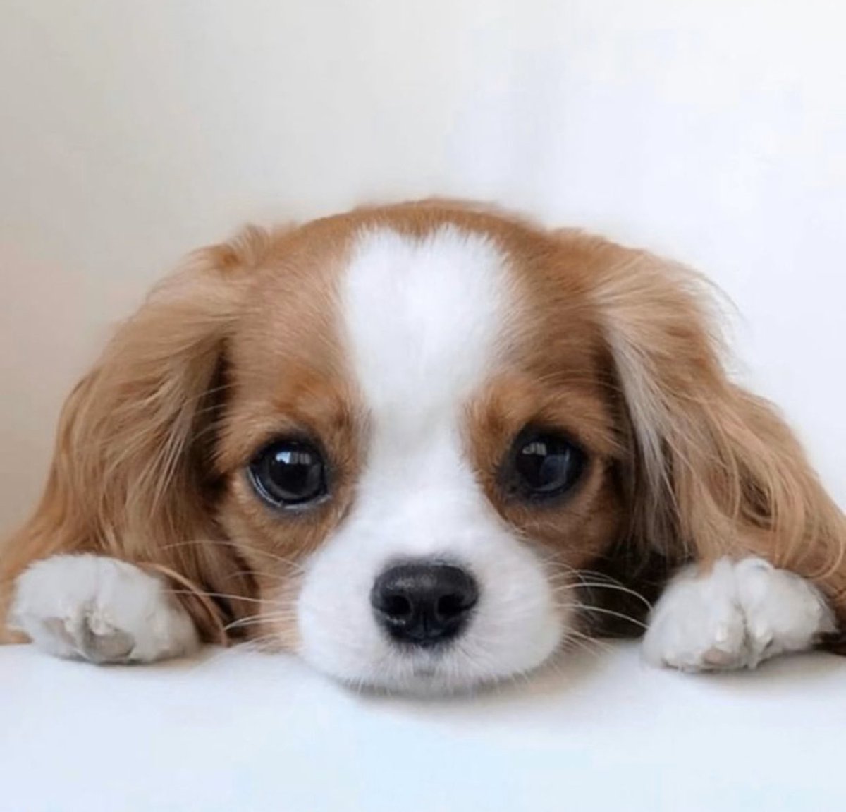 Klassy Network tweet media