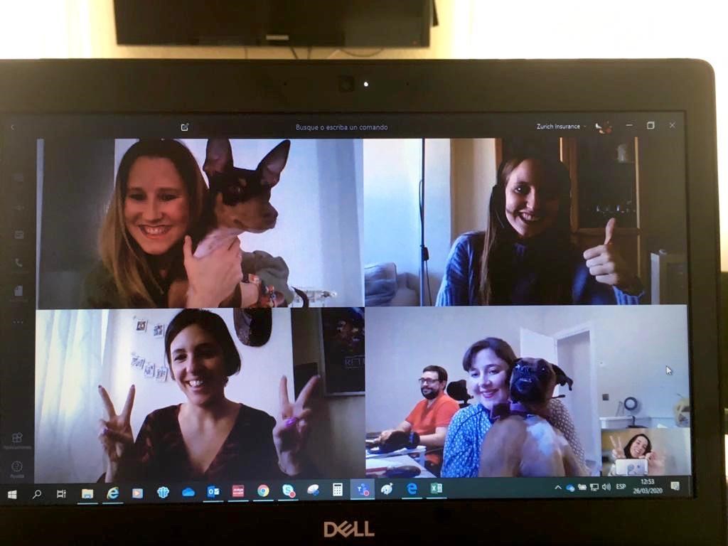 ZurichSeguros's tweet photo. Después de semanas de videollamadas en equipo, ¡Coco y Koska 🐶también son ya unos expertos en #teletrabajo! Como nuestras compañeras @crissabariegos , @lauscn @Munbay88, Lorenza y Sofía que no pierden el #OptimismoZurich ni un momento. ¡Bravo por ese team!🙌 https://t.co/lXCa7boE8R