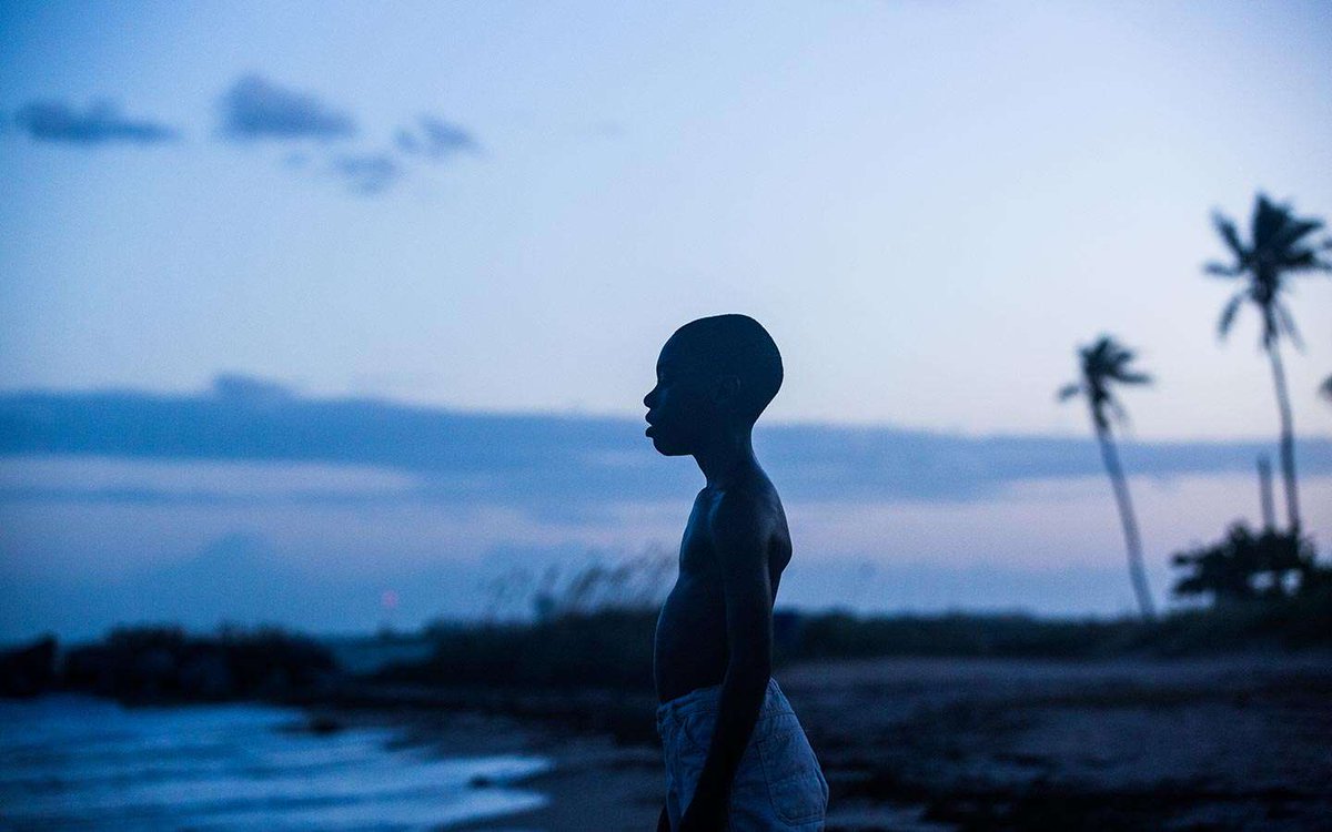 #41 - Moonlight de Barry Jenkins (2016)Chiron, un jeune afro-américain issu d'un quartier pauvre est constamment harcelé à cause de son homosexualité. Un film touchant, beau et sensible sur la difficulté pour un Noir homosexuel de "s'affirmer dans un ghetto de Miami"