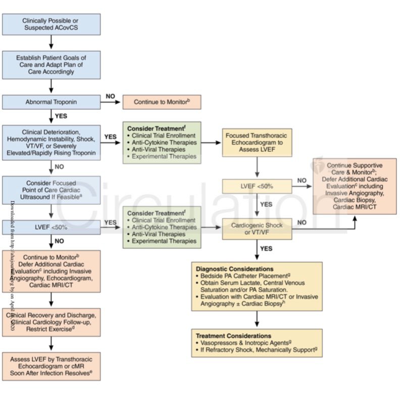 netta_doc's tweet image. Review of #COVID19 CV involvement &amp;amp; proprosed mgmnt in @CircAHA:

“patients w COVID-19 &amp;amp; myocardial injury whom are hemodynamically &amp;amp; electrophysiologically stable w mild-mod ⬆️ troponin should not routinely undergo TTE, angiography or cardiac imaging.” 

#cardiotwitter #EPeeps