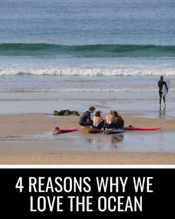 ShakaSurfMoroc's tweet photo. W O R L D
O C E A N S
D A Y
-
4 reasons why we love the ocean! #worldoceansday #oceanlovers #surfblog #blog #blogposts
-
https://t.co/p8AZqfDttt https://t.co/NZxg2Duiv1