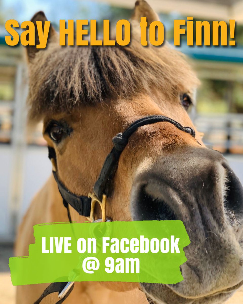 reinsprogram's tweet image. Watch live on Facebook and say “Hi!” to Finn and Kaitlyn in just one hour!