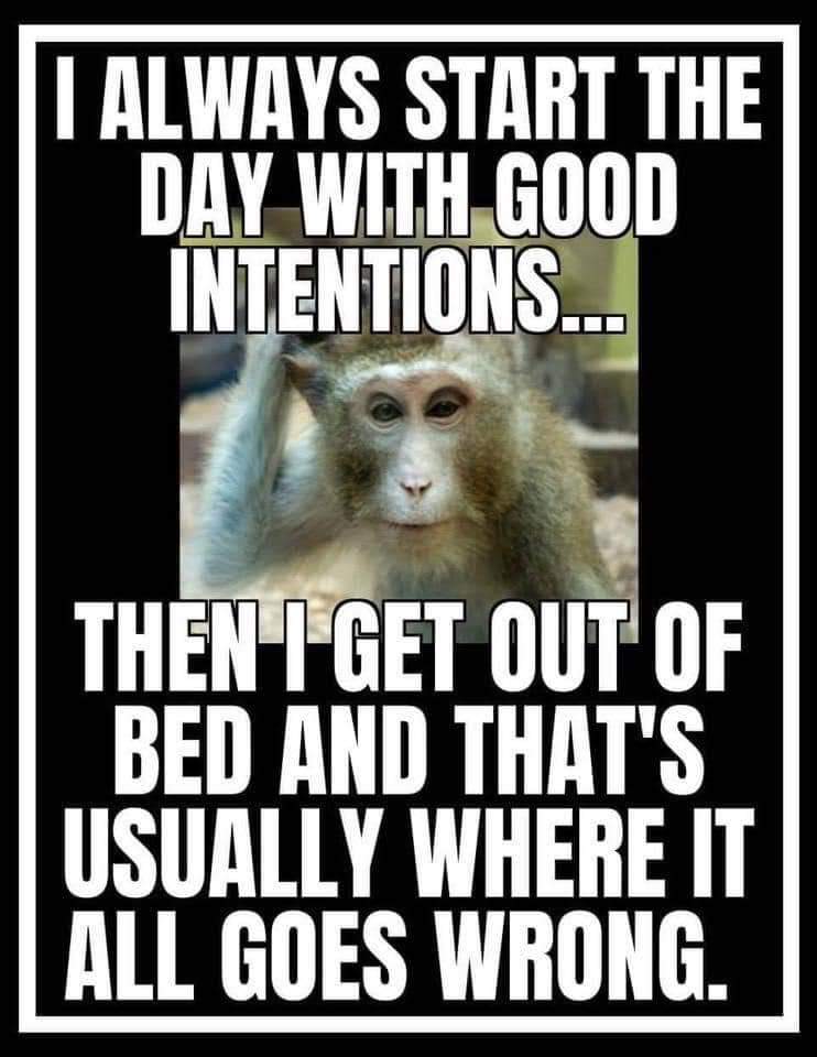 JSGarbRPh's tweet image. My day started OK but then I got to work and it has gone straight downhill....