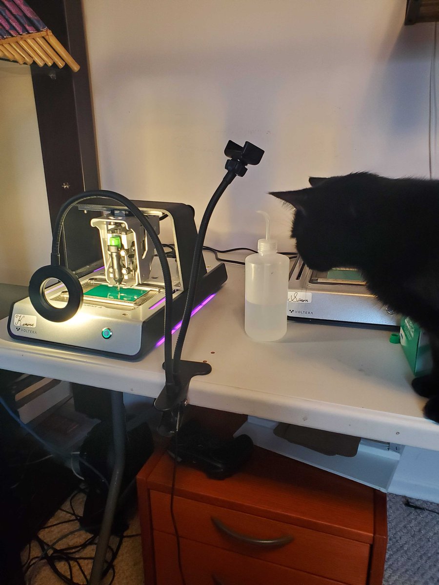voltera_io's tweet photo. Knowing that we can #buildhardwarefaster (even from home) is fascinating, even for our pets 😻 #stayhome #workfromhome https://t.co/7KHqjUx4wr