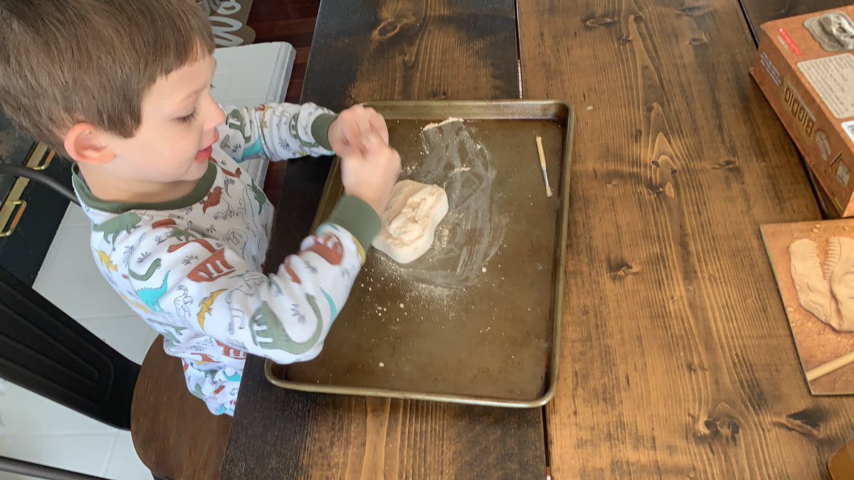 Training a future paleontologist thanks to Jurassic park and <a href="/TwoPaddocks/">Sam Neill</a>