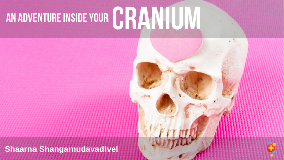 DFTBubbles's tweet photo. Time to be a little smart, HeadSmart, in your search for paediatric cancers with @HeadSmartFellow

HeadSmart: Shaarna Shangamudavadivel at DFTB19 - https://t.co/rZYEg8Vw54

#foamed #foamped https://t.co/algTrueU55