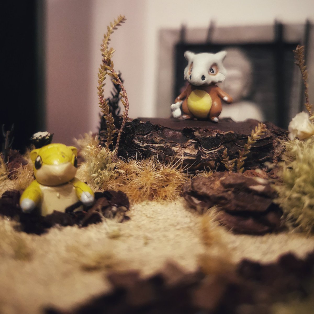 LauraSaiz17's tweet photo. Me gustó tanto como quedó que decidí autoregalarmela 
#Pokemon #diy #terrarium #cubone  #sandshrew #cuarentena #pokeball https://t.co/FoE3vGYZHt