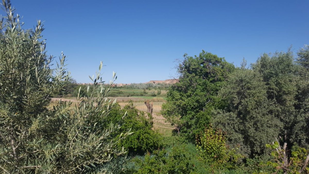Ici dans ma ville(ait sdrat sehel el gharbia)