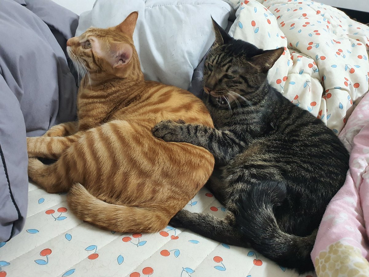 둘이 너무 귀여워서 울면서 찍었다 🥰