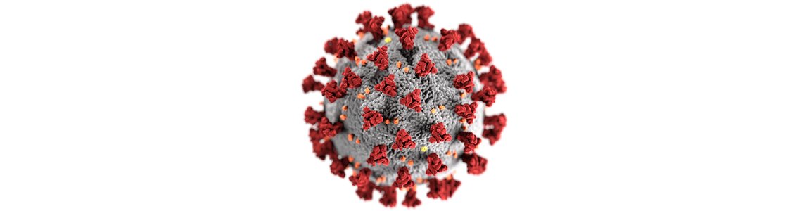 nextink's tweet photo. Il periodo che stiamo vivendo in questo inizio del 2020, sta mettendo a dura prova ognuno di noi sotto più punti di vista: sanitario, scolastico e lavorativo.  #coronavirus #coronavirus #covid19 #covid19 #dispositividiprotezioneindividuale #dpi #igienedegl https://t.co/3pYBSVN4Vm https://t.co/tt76dTkbvK