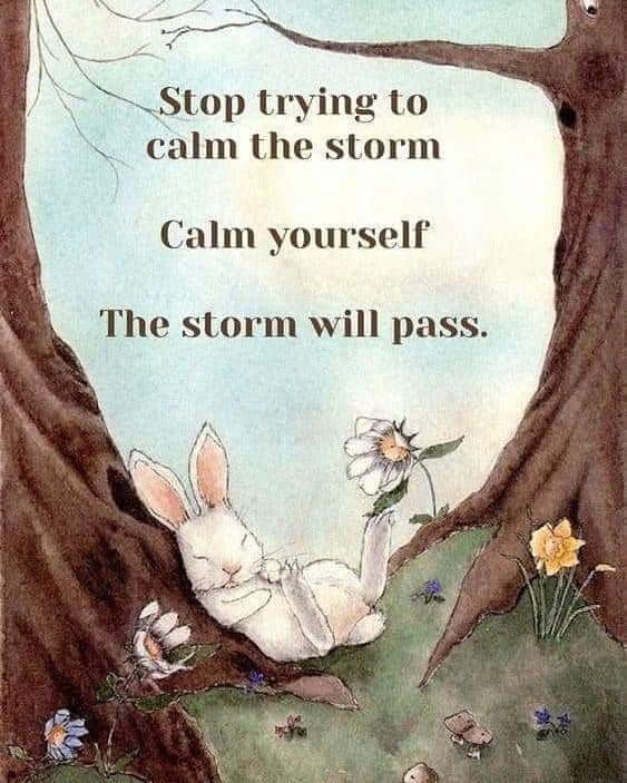 One of the best advice I have heard until now......