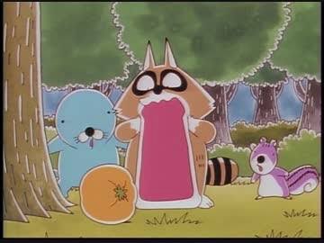 あらいぐまくん あらいぐまくん