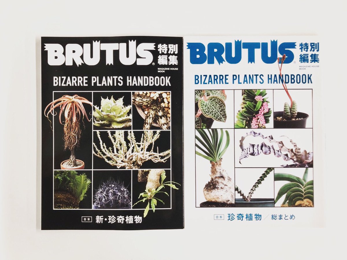 Brutus בטוויטר 珍奇植物ムック 発売中 珍奇植物シリーズのムック本第二弾 左 は 132ページの大ボリュームで数百種ものビザールな 植物たちを紹介します Brutus 珍奇植物 Brutus בטוויטר 珍奇植物ムック 発売中 珍奇植物シリーズのムック本第二弾 左 は 132ページの大ボリュームで数百種ものビザールな 植物たちを紹介します Brutus 珍奇植物