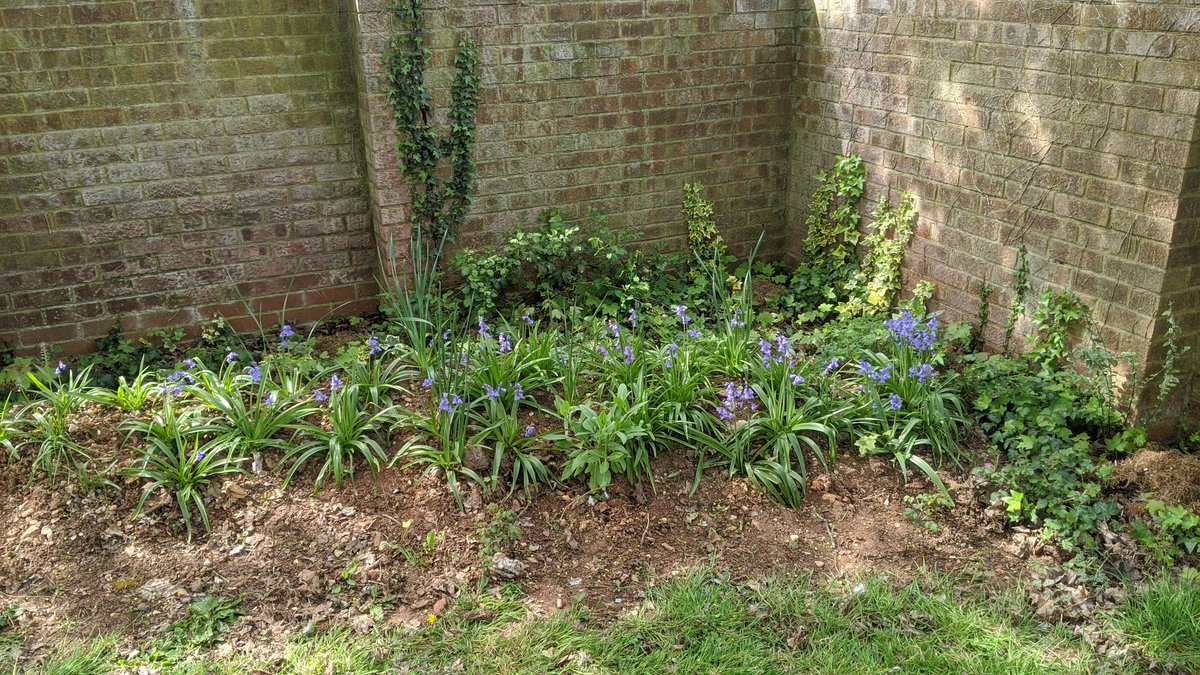 Ben Aviss tweet media