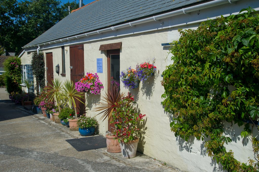 Colroger Holidays tweet media