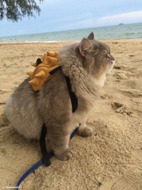 backpack neko nyeow