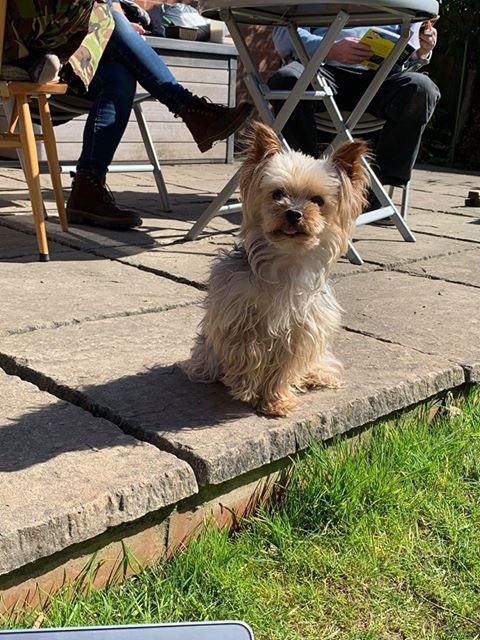 Cardiff Met Drama Soc tweet media